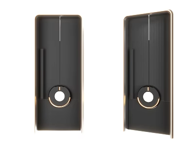 Modern Swing Door Design With Black Surface Gold Trim And Circular Handle 3d model