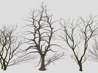 Deciduous Trees With Bare Branches And Long Shadows On Gray Background 3d model