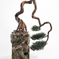 Artistic Bonsai Plant with Twisted Branches Green Pine Needles and Rock Base
