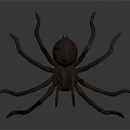 3D Rendered Spider With Long Legs And Brownish Realistic Detailed Design
