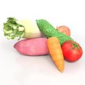 Fresh Organic Vegetables Including Radish Cucumber Onion Sweet Potato Carrot Tomato
