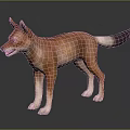 Realistic Brown Dog With Pointed Ears And Dark Tipped Tail Standing On Dark Background Reflection