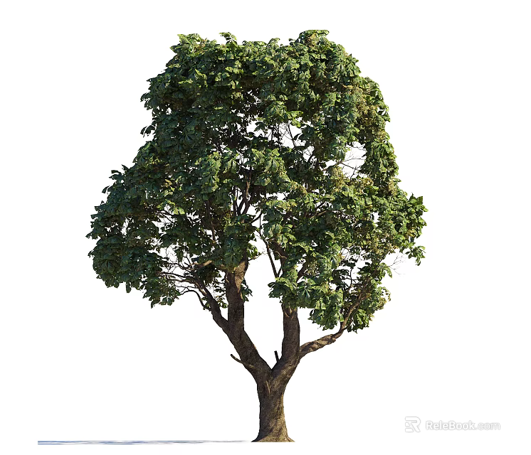 Lush Green Arbor With Dense Foliage And Strong Brown Trunk 3d model 