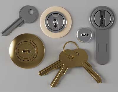 Gold And Gray Door Lock Keys With Cylinder And Brass Accessories Set 3d model
