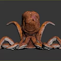 Reddish Brown Octopus Model with Extended Tentacles on Black Background with Reflection 3d model