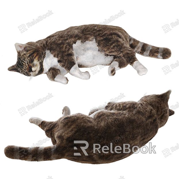 Modern Cat Pet Cat model