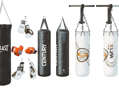 Essential Boxing Sports Equipment Including Hanging Punching Bags And Training Gloves 3d model