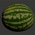 Fresh Round Watermelon With Green And Yellow Striped Rind On Black Background