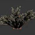 Realistic Organ Models And Natural Hair Samples On White Background