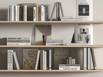 Neatly Arranged Books and Magazines on Modern Bookshelf with Framed Pictures Small Tins and Decorative Items 3d model