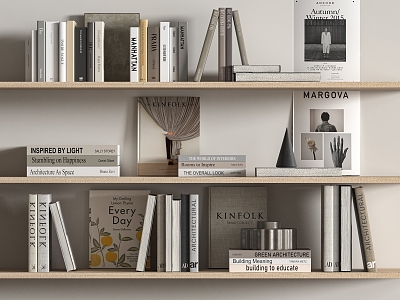 Modern Book Ornaments Storage Rack 3d model