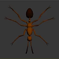 Orange 3D Ant Model With Large Brown Abdomen And Long Slender Legs