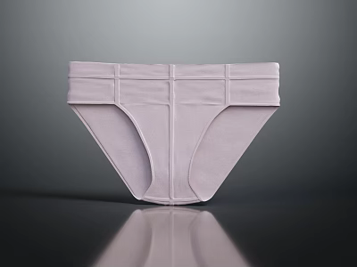Soft Light Purple Triangle Style Underwear with Comfortable Fabric for Everyday Wear 3d model