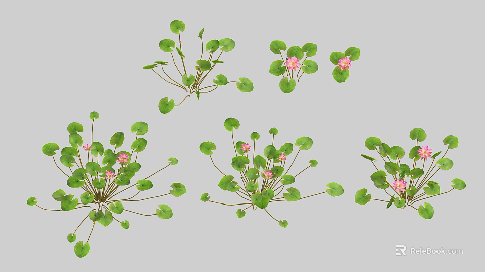 Lush Floral Arrangement in Vase with Green Round Leaves and Pink Small Flowers 3d model 