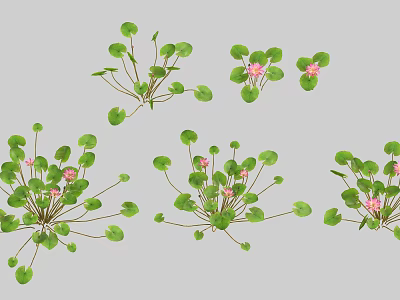 Lush Floral Arrangement in Vase with Green Round Leaves and Pink Small Flowers 3d model