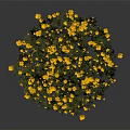 Vibrant Yellow Flowering Plants with Green Leaves in Lush Fresh Cluster
