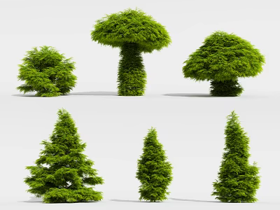 Green Arbor Trees With Various Crown Shapes For Garden Landscaping 3d model