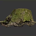 Mossy Wooden Tree Stump Decor With Natural Stone Base And Textured Surface 3d model