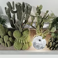 Stylish Indoor Scene With Cactus Bonsai Plants Arched Windows Moon Decoration And Blackboard