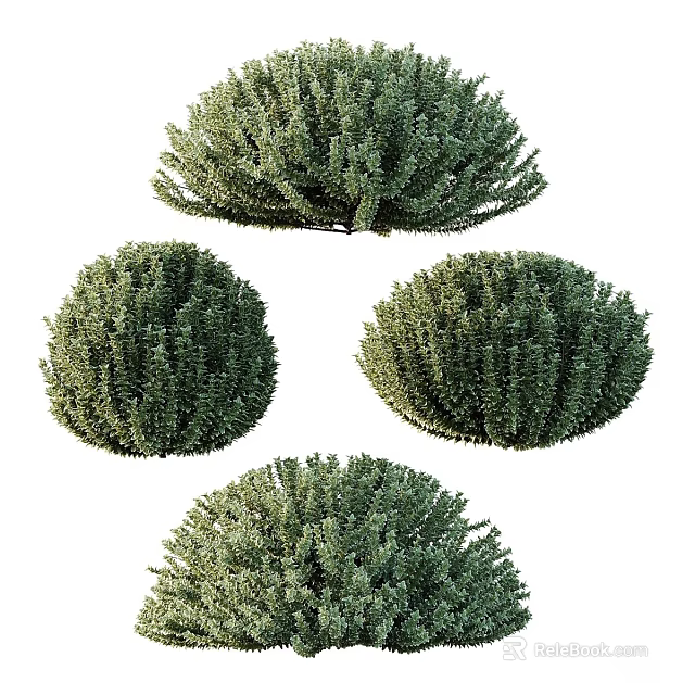 Four Round Shaped Green Shrub Balls For Garden Decoration And Landscaping 3d model 