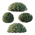 Four Round Shaped Green Shrub Balls For Garden Decoration And Landscaping