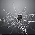 Intricate White Spider Web With Black Spider Red Mark On Dark Background