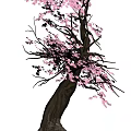 Blooming Arbor with Pink Flowers on Dark Trunk and Graceful Branches