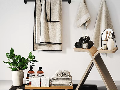 Bathroom Essentials Setup Featuring Hanging Folded Towels Bath Product Bottles Green Plant And Wooden Stand 3d model