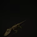 Detailed Crocodile Skeleton Showing Complete Bone Structure With Reflection On Dark Background 3d model