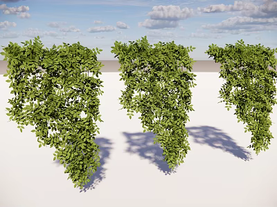 Lush Green Hanging Basket Plants With Dense Foliage Against Blue Sky And White Clouds 3d model