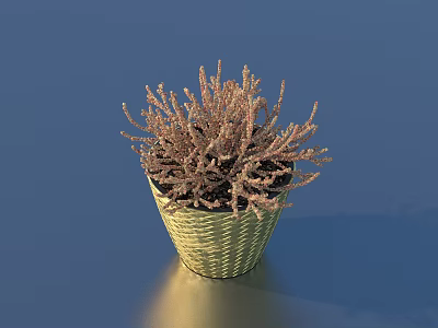 Bonsai Potted Plant in Yellow Woven Pot with Brown Branches on Reflective Blue Surface 3d model