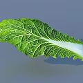 Fresh Green Cabbage Leaves With White Veins Arranged In Radial Pattern 3d model