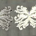 Intricate Golden Symmetrical Ornate Carved Decorations On Gray Wall Surface