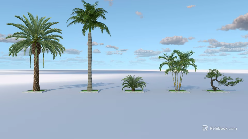 Palm Trees Standing On White Ground Under Blue Sky With White Clouds 3d model