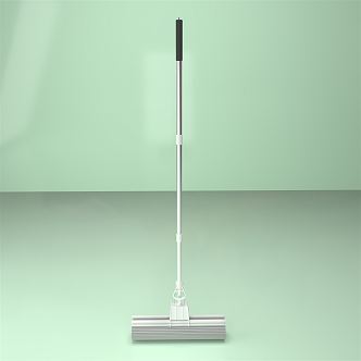 Modern Mop 3d model