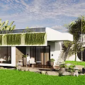 Modern Detached Villa White Exterior Green Roof Vines Large Windows Lawn And Stone Water Feature