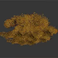 Lush Golden Shrub Like Plant With Dense Foliage And Decorative Structure