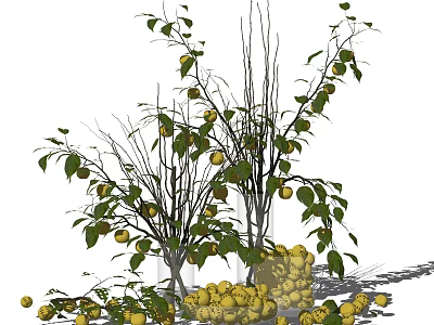 Decorative Vase With Branches Yellow Fruits And Green Leaves Scattered Around 3d model