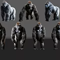 Different Poses Of Reptile Models On Shiny Reflective Surface