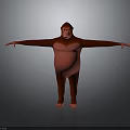 Monkey Standing Pose With Arms Outstretched 3D Model Digital Rendering