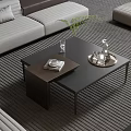 Modern Coffee Table With Tray Glass And Green Plant In Living Room