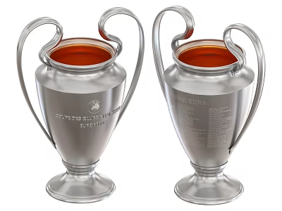 Two Silver Championship Trophy Cups with Red Interior and Engraved Details 3d model
