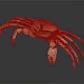Crab With Orange Brown Body Large Claws And Long Legs On Black Reflective Surface