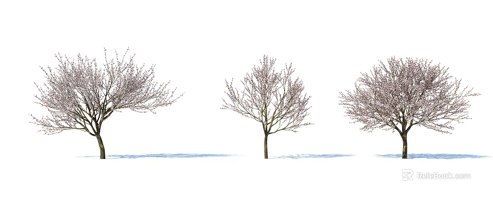 Three Leafless Deciduous Trees Against White Background With Blue Ground Shadows 3d model 