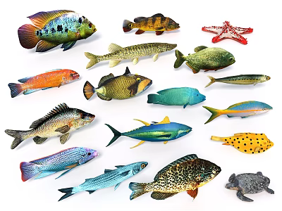 Various Colorful Aquatic Animals Featuring Fish Starfish Turtle and Other Species 3d model