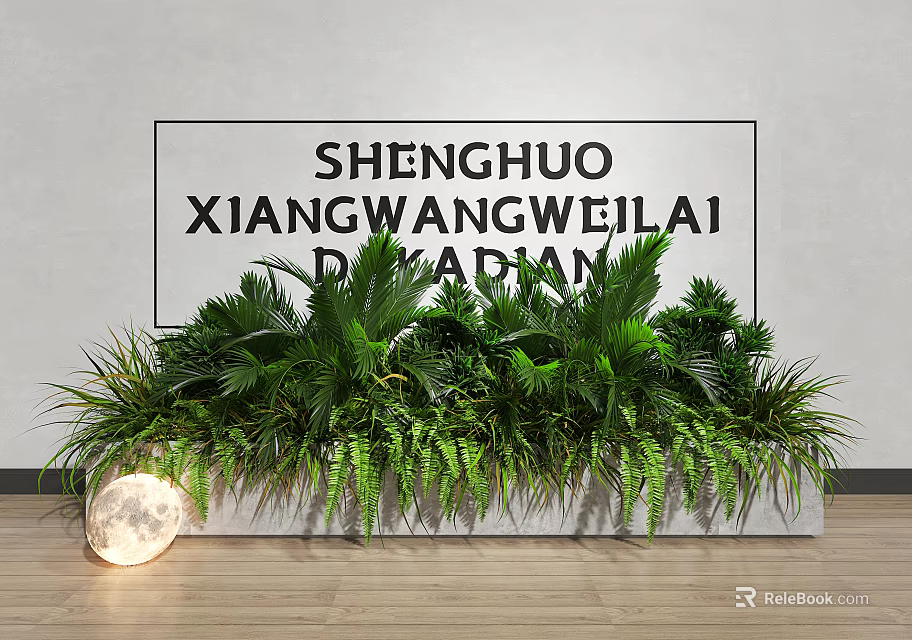 Lush Potted Plants Arrangement with Green Foliage and Moon Decoration in Modern Indoor Space 3d model 
