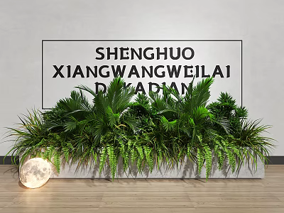 Lush Potted Plants Arrangement with Green Foliage and Moon Decoration in Modern Indoor Space 3d model