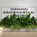 Lush Potted Plants Arrangement with Green Foliage and Moon Decoration in Modern Indoor Space