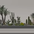 Bonsai and Potted Plants Featuring Various Cacti Succulents on Gray Platform with Stones