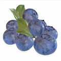 Fresh Blueberries With Vibrant Blue Color And Green Leaves On White Background